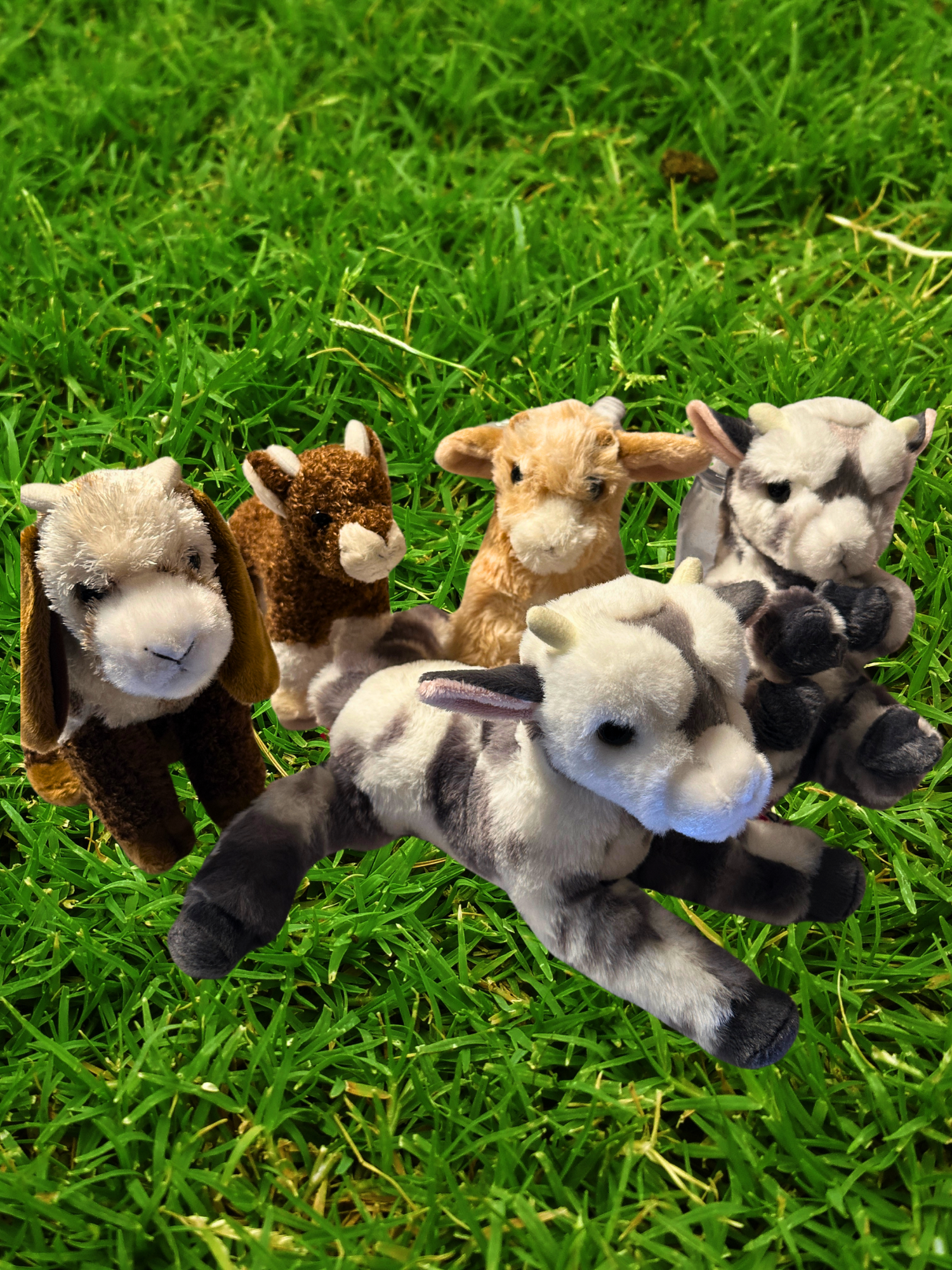 Buffy the Baby Goat – Stuffed Plush Toy